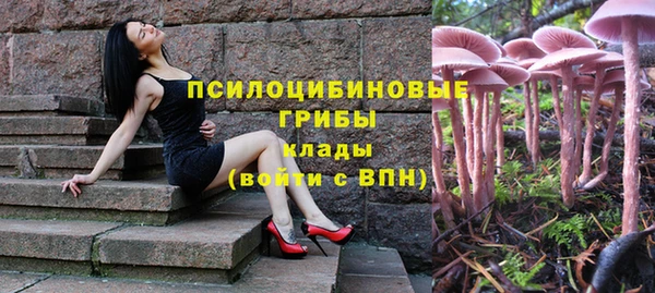 стафф Абаза